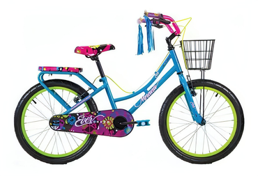 Bicicleta Mercurio Evergreen R20